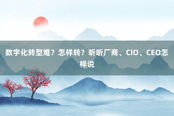 数字化转型难？怎样转？听听厂商、CIO、CEO怎样说